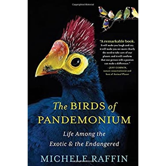 Pre-Owned The Birds of Pandemonium: Life Among the Exotic and the Endangered (Hardcover) 1616201363 9781616201364