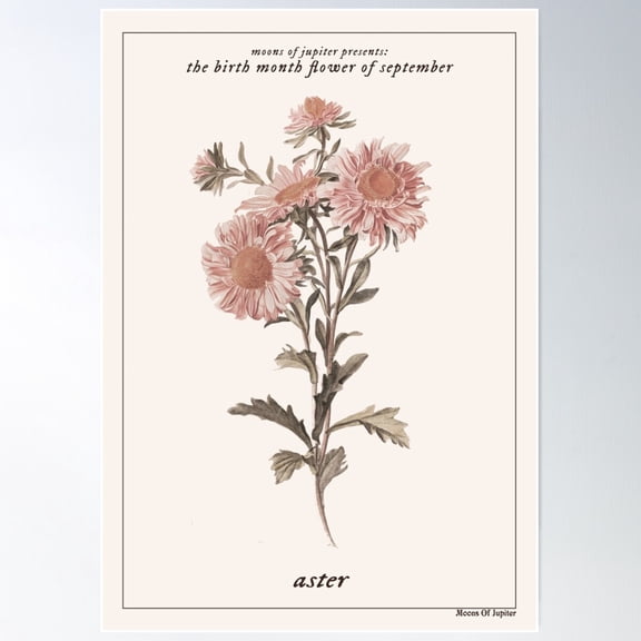 The Birth Month Flower Of September: Aster Poster Wall Art, Modern Wall Decor For Living Room Bedroom, 24x36 UNFRAMED