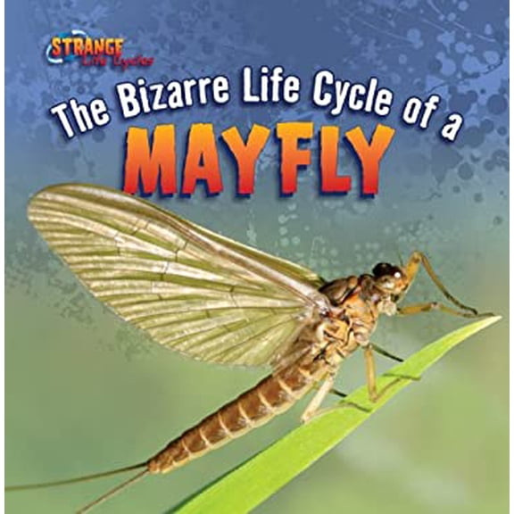 Pre-Owned The Bizarre Life Cycle of a Mayfly (Library Binding) 1433970511 9781433970511