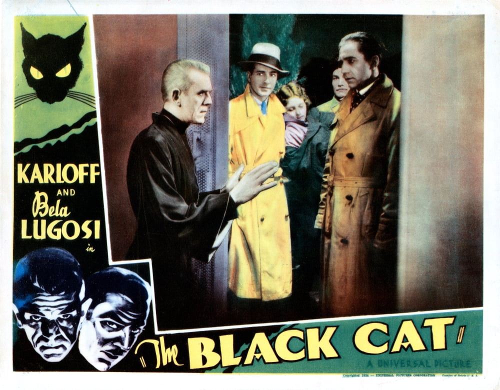 The Black Cat Canvas Art - (28 x 22)