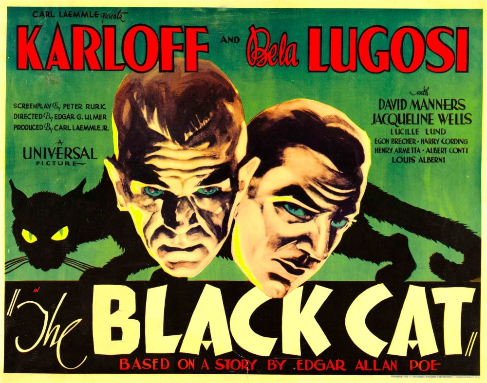 The Black Cat Canvas Art - (28 x 22)