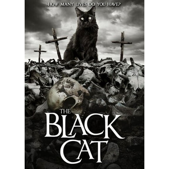 The Black Cat (DVD)