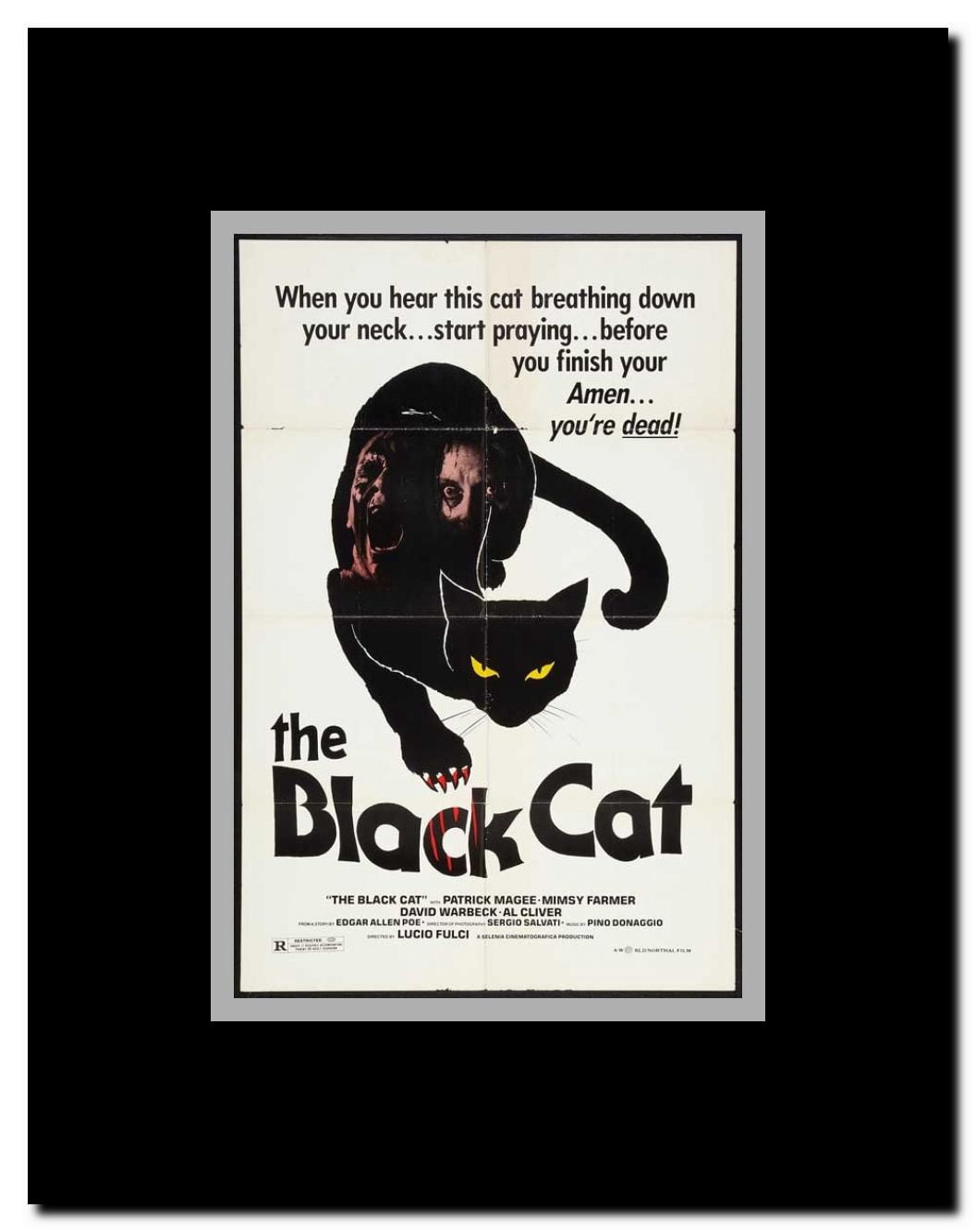 The Black Cat Framed Movie Poster