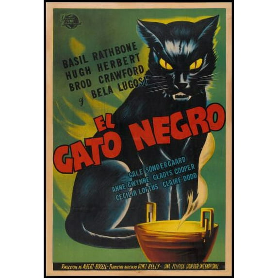 The Black Cat Movie Poster Reprint 27inx40in for any room 27x40 Multi-Color Square Adults Z Posters