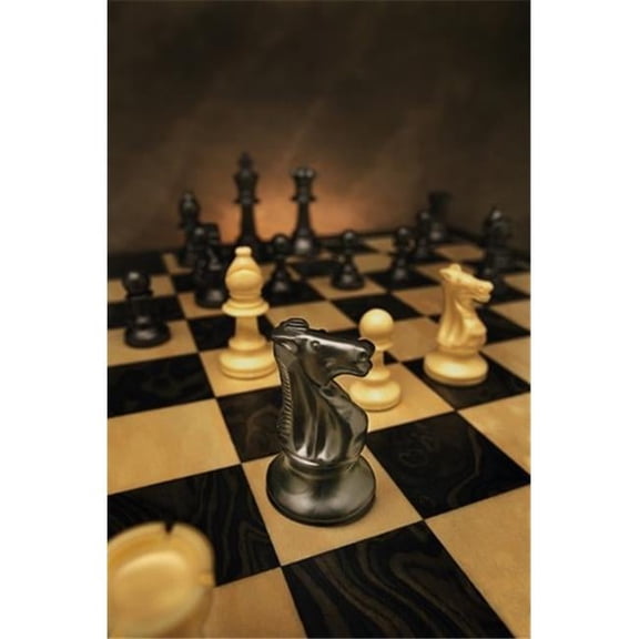 The Black Knight Poster Print by Don Hammond, 22 x 34 - Large