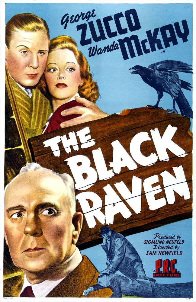 The Black Raven U Canvas Art -  (24 x 36)