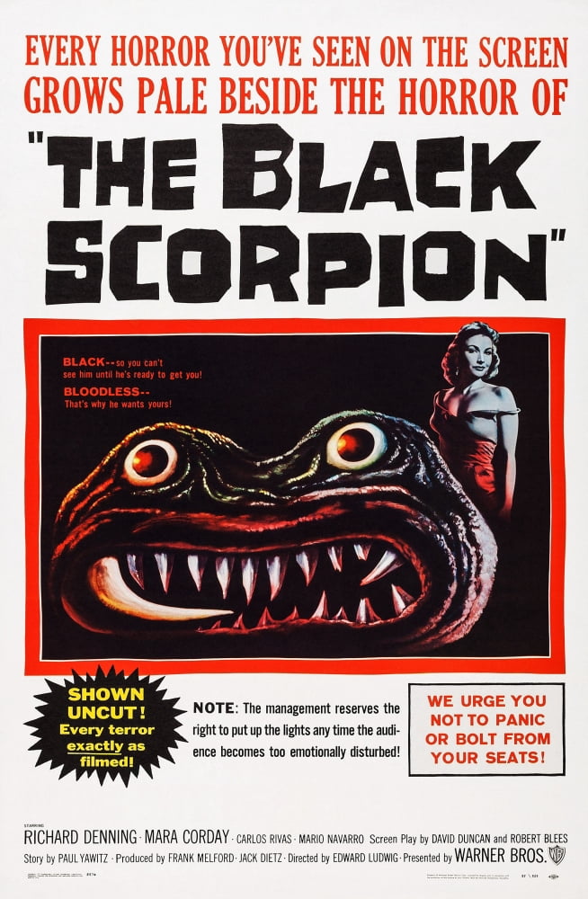 The Black Scorpion Canvas Art - (11 x 17)