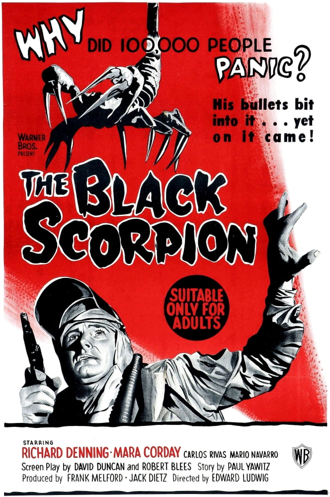 The Black Scorpion Canvas Art - (11 x 17)