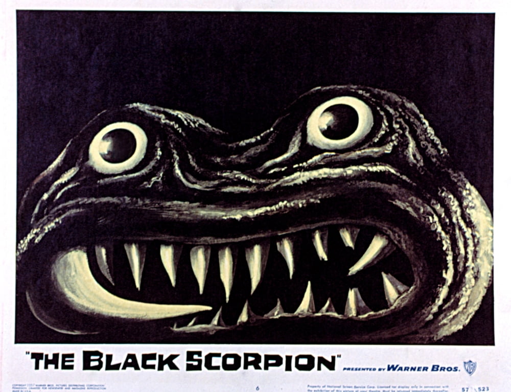 The Black Scorpion Canvas Art - (28 x 22)