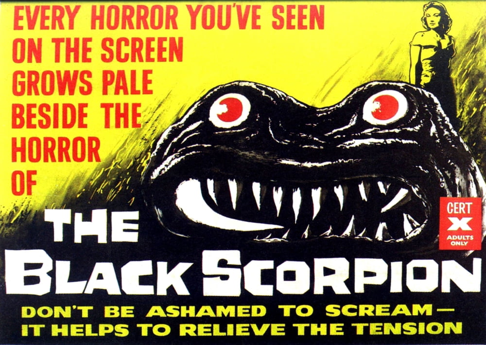 The Black Scorpion Canvas Art - (28 x 22)