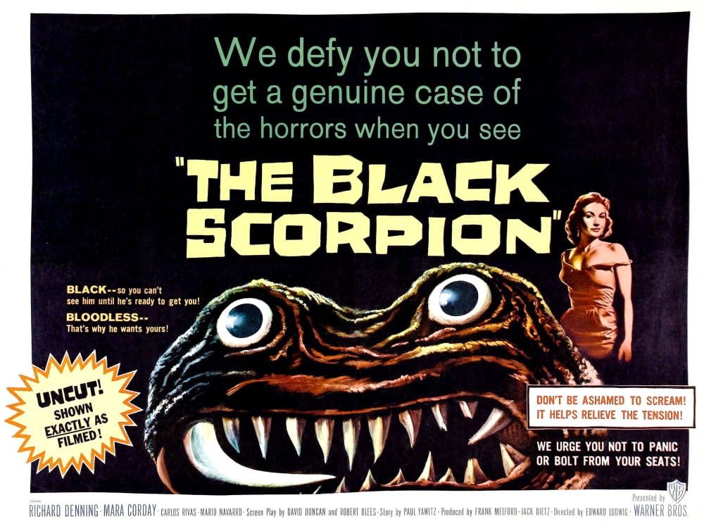 The Black Scorpion Canvas Art - (28 x 22)