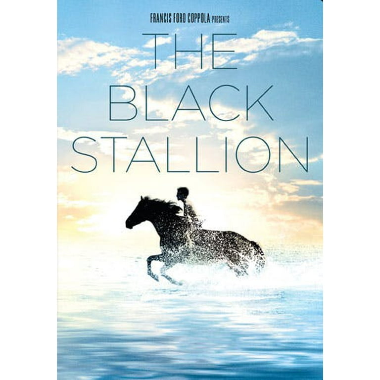 The Black Stallion (DVD New Box Art) [DVD] - Walmart.com