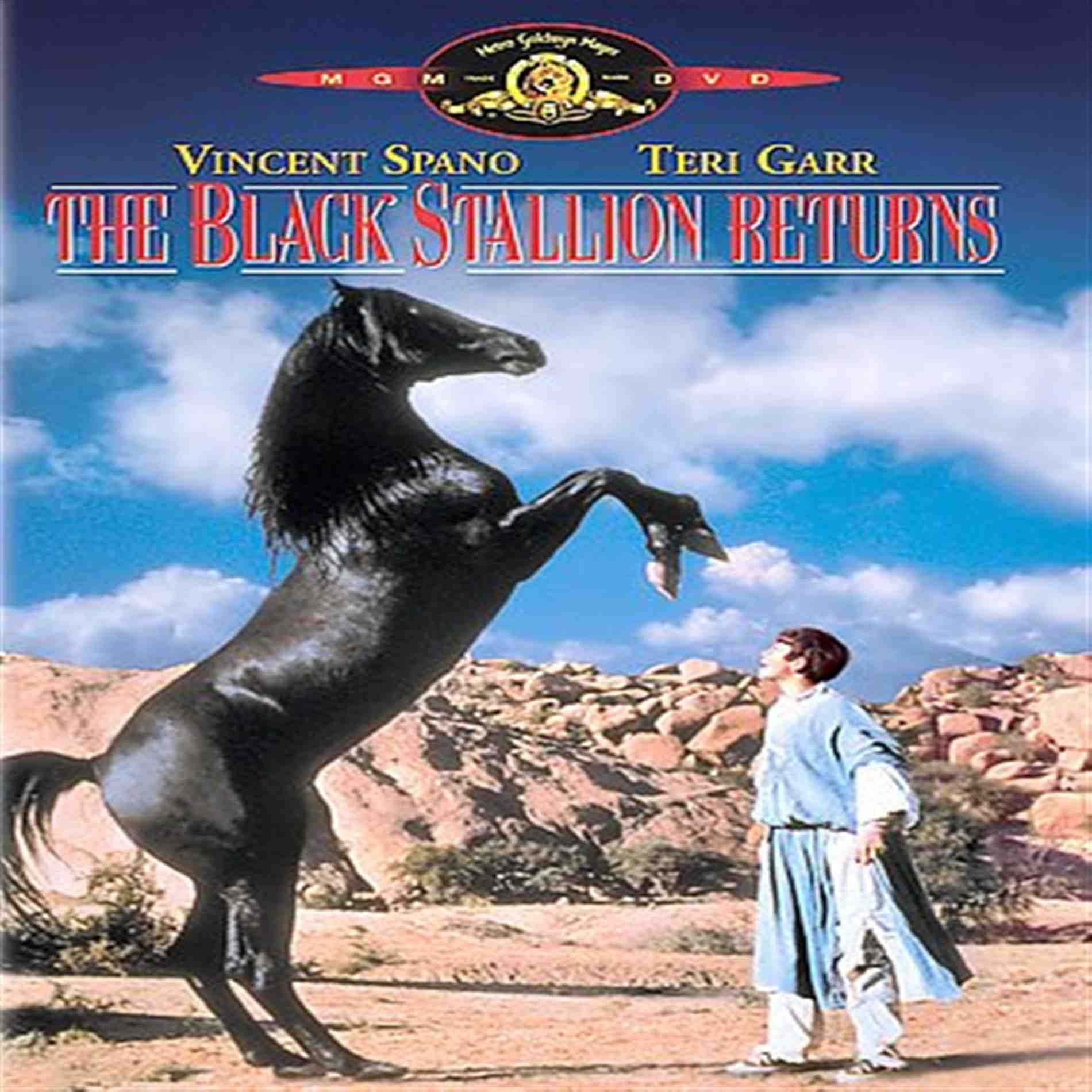 The Black Stallion Returns (DVD)