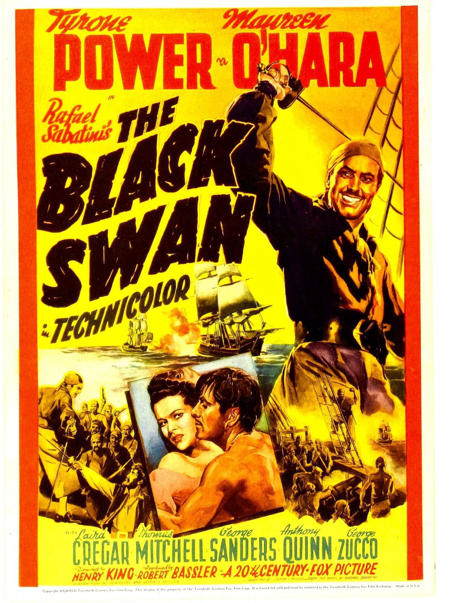 The Black Swan Canvas Art - (11 x 17)