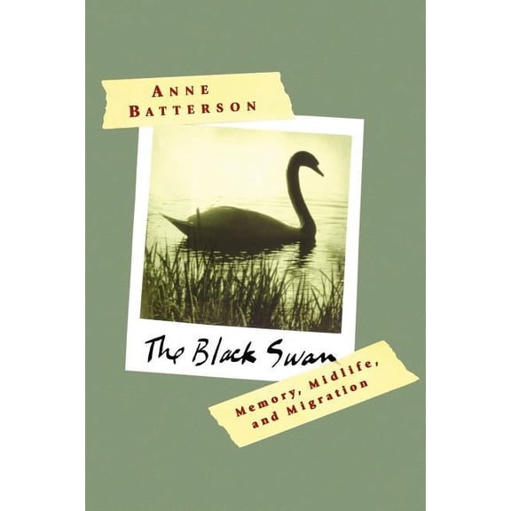 The Black Swan : Memory, Midlife, and Migration (Paperback)