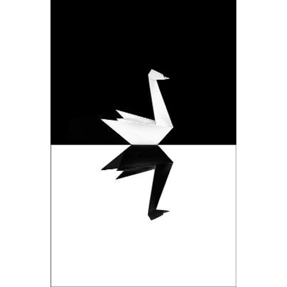 Pre-Owned The Black Swan (Hardcover) 0713999950 9780713999952