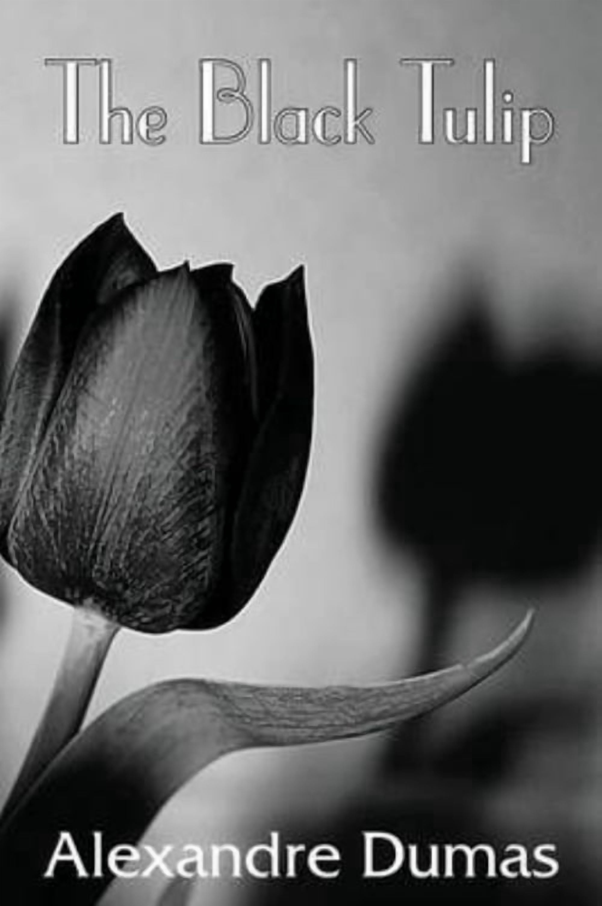 The Black Tulip (Paperback) - Walmart.com