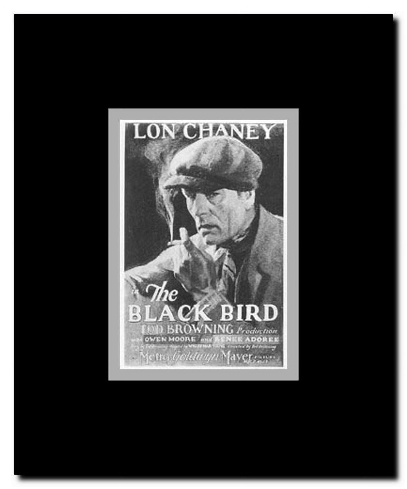 The Blackbird Framed Movie Poster