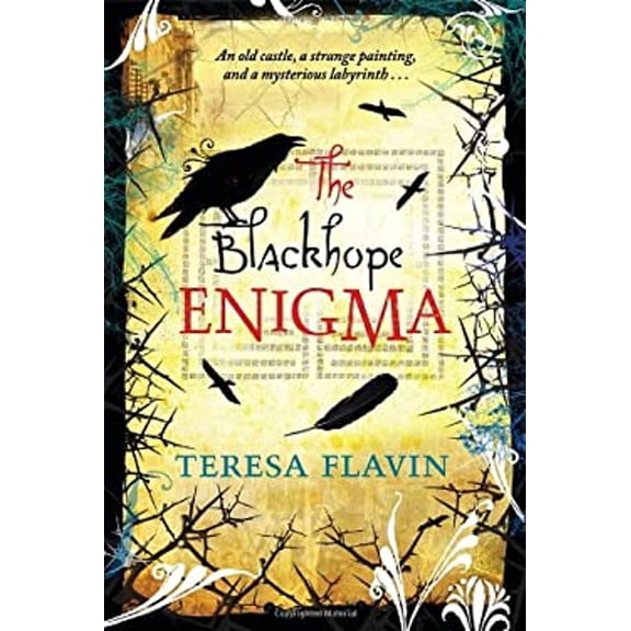 Pre-Owned The Blackhope Enigma (Paperback)