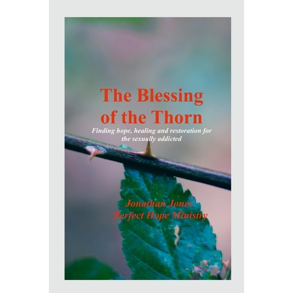 The Blessing of the Thorn- 2nd Edition- revised: Healing Sexual Addiction in the Christian Community, (Paperback)