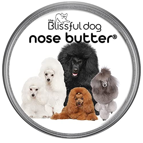 The blissful dog nose butter top