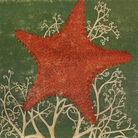 The Blithe Sons - Arm of the Starfish - Music & Performance - CD