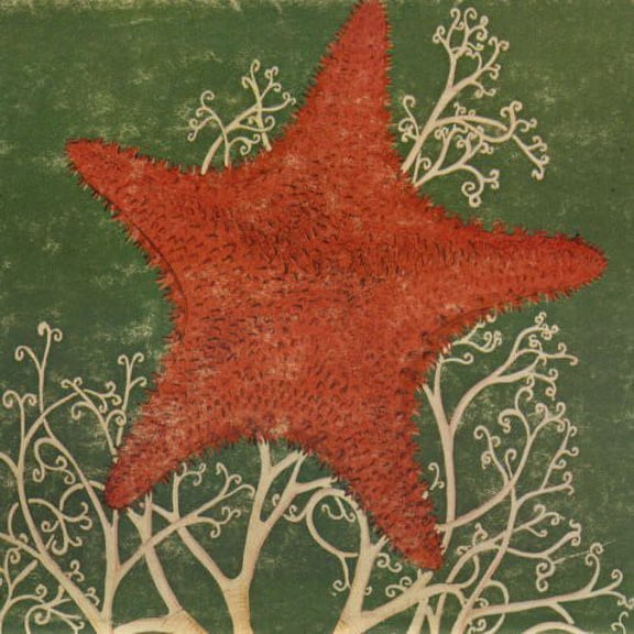 The Blithe Sons - Arm of the Starfish - Music & Performance - CD