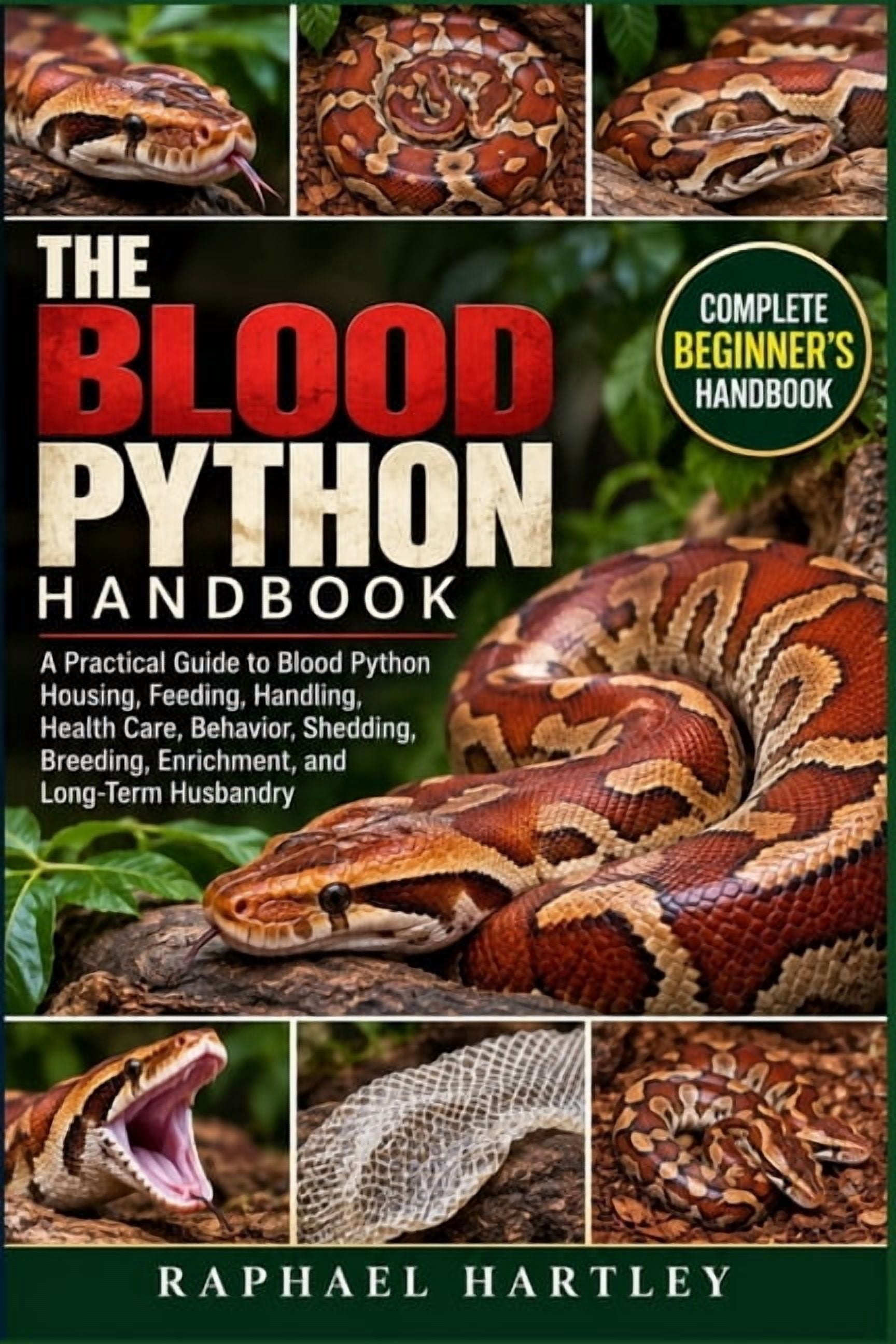 Big Scrub Python The Blood Python Handbook: A Practical Guide to Blood Python Housing ...