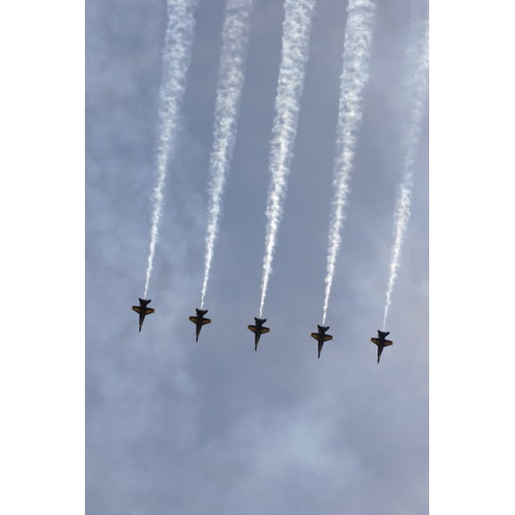 The Blue Angels perform aerial demonstrations during an air show Canvas Art - Stocktrek Images (23 x 34)