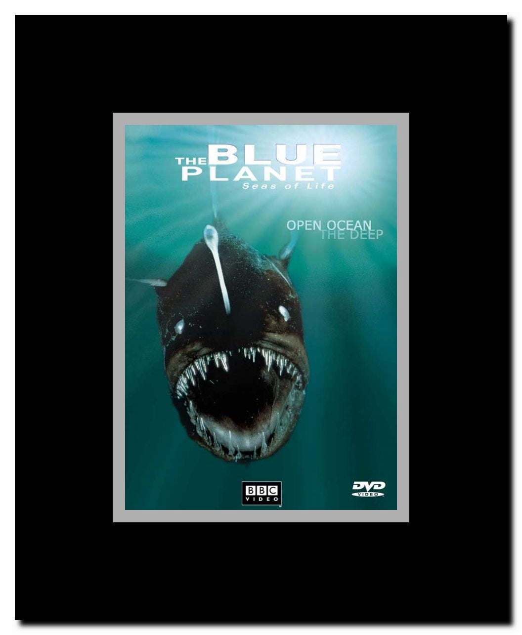 The Blue Planet Framed Movie Poster