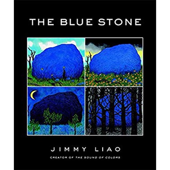 Pre-Owned The Blue Stone: A Journey Through Life (Hardcover) 0316113832 9780316113830