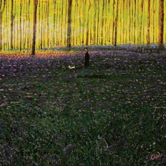 The Bluebells Canvas Art - Chris Williamson (24 x 24)