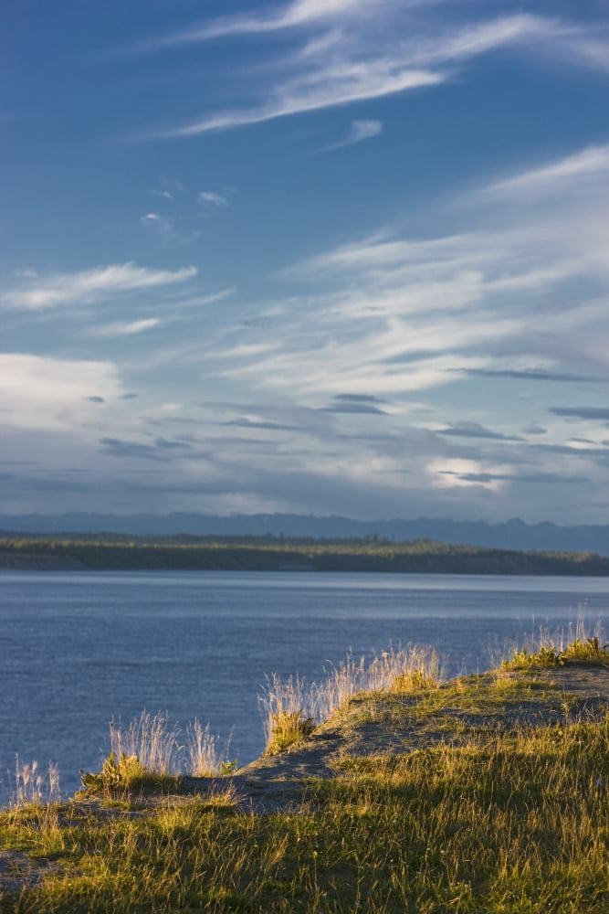 The Bluff Along The Tony Knowles Coastal Trail With Knik Arm Below Southcentral Alaska Summer Canvas Art - Kevin Smith Design Pics (12 x 19)