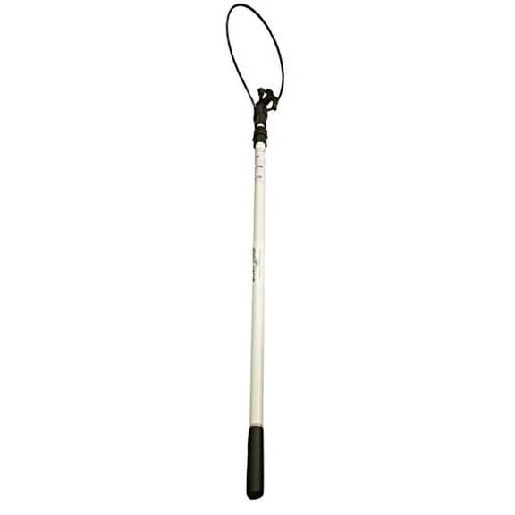 The Boat Loop (Medium, White Pole Standard Loop