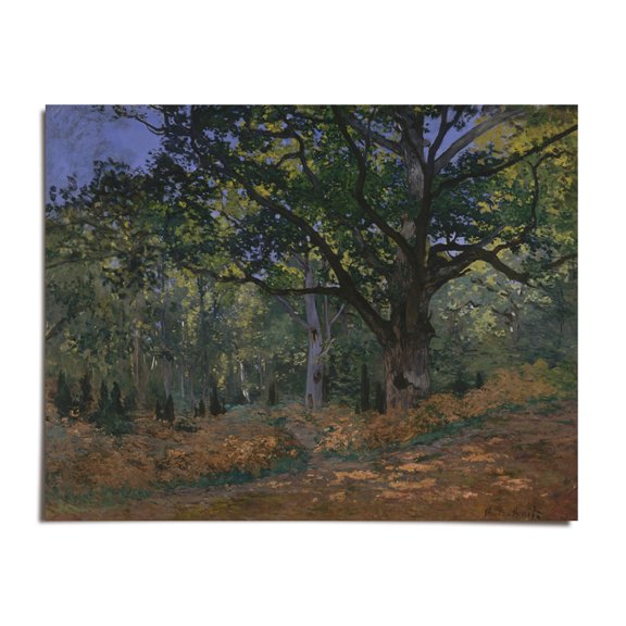 The Bodmer Oak, Fontainebleau Forest, 1865 - Claude Monet - 8x10 - Wall Art Print - UNFRAMED