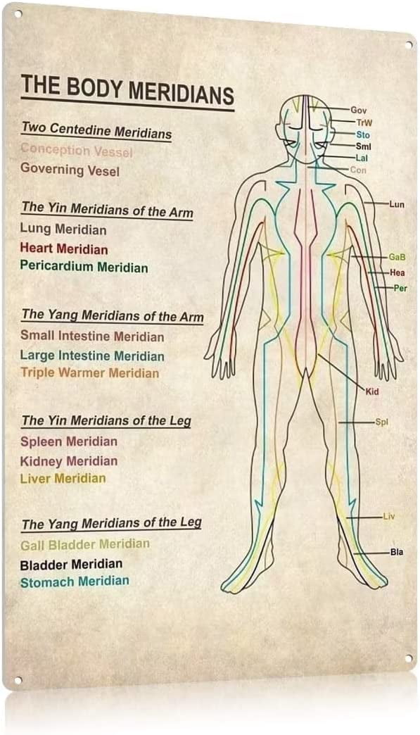 The Body Meridians Knowledge Poster Therapy Foot Reflexology Chart