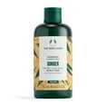 thumbnail image 1 of The Body Shop Ginger Scalp Care Shampoo – For Dry, Flaky Scalp – With Vegan Silk Protein – 250ml, 1 of 3