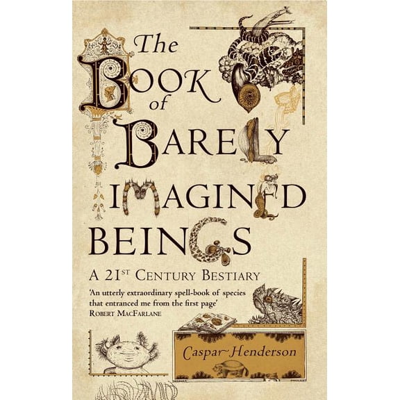 The Book of Barely Imagined Beings (Paperback)