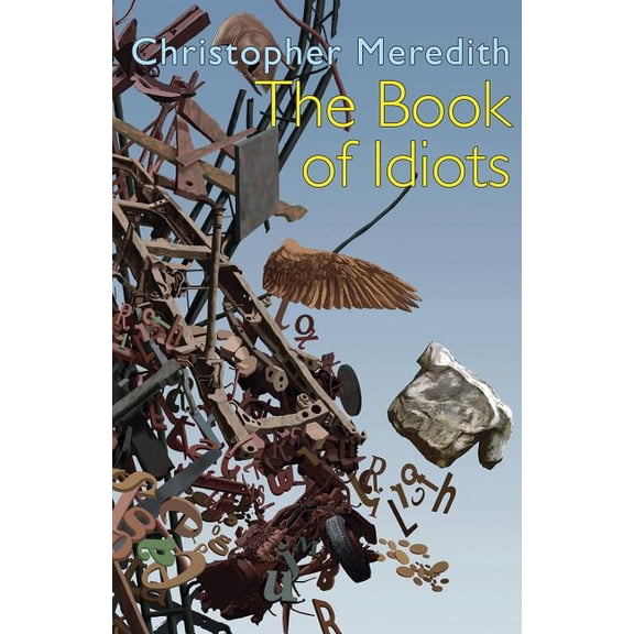 The Book of Idiots (Paperback)