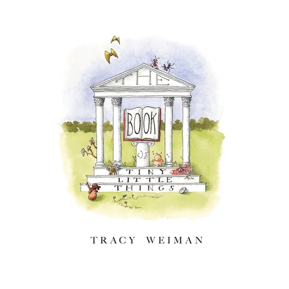 The Book of Tiny Little Things (Paperback)