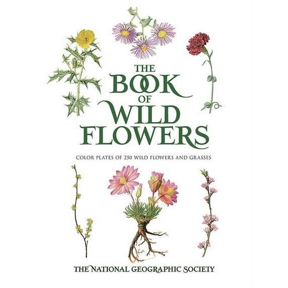 The Book of Wild Flowers: Color Plates of 250 Wild Flowers and Grasses, (Paperback)