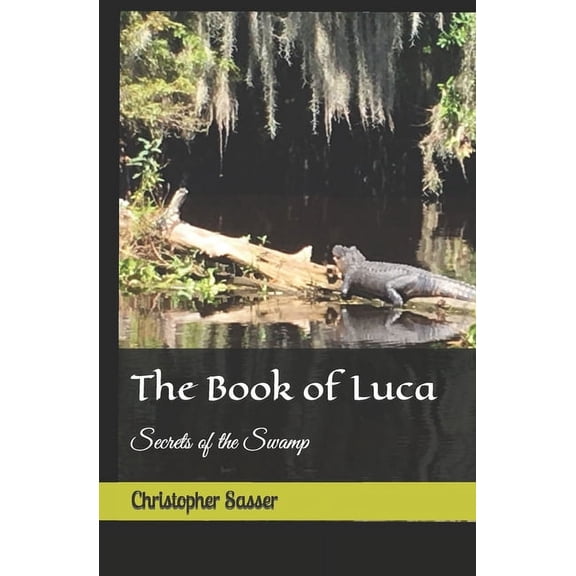 The Books and Their Secrets 2+book: The Book of Luca (Paperback)