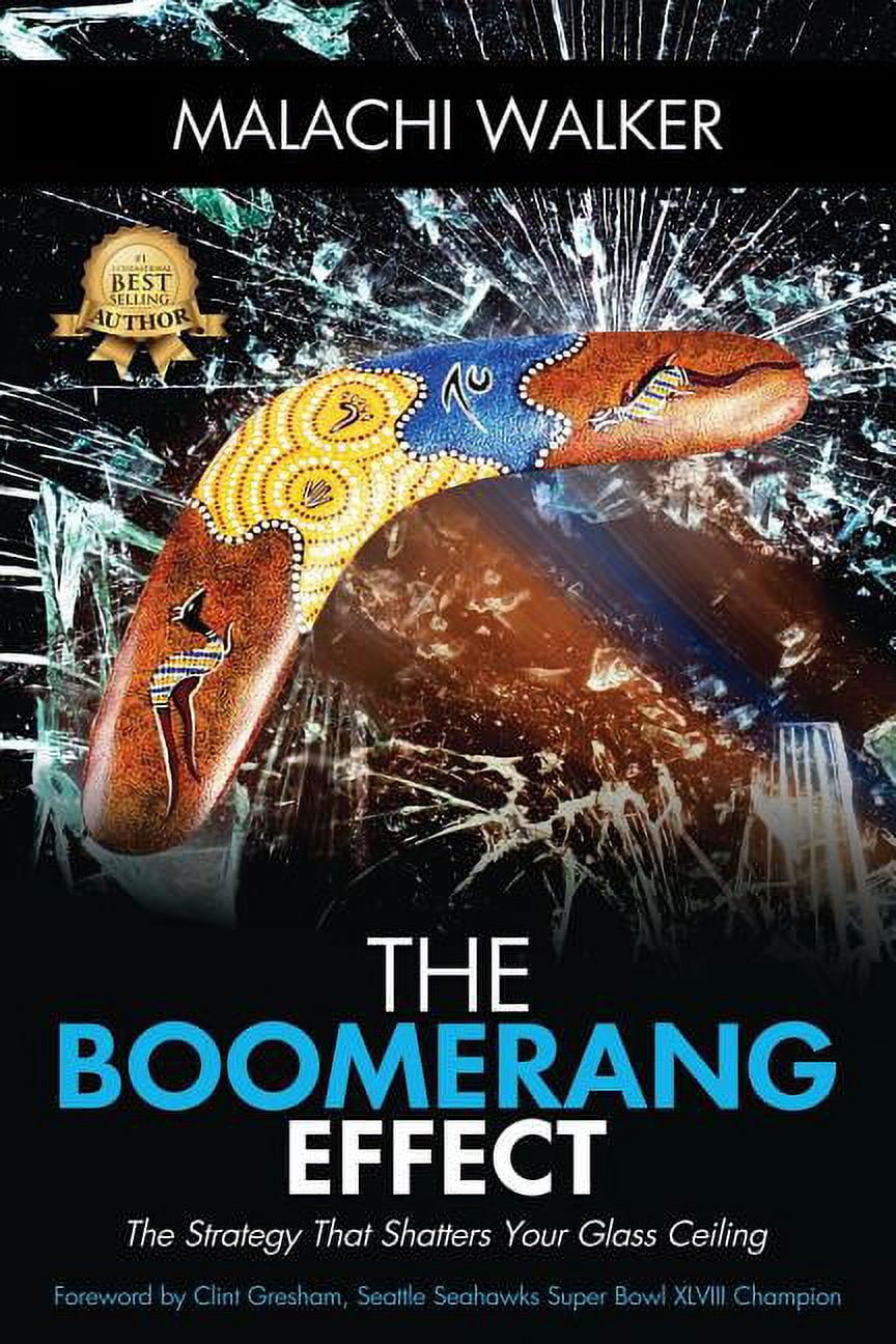 The Boomerang Effect (Paperback)