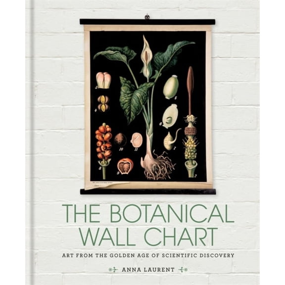 Pre-Owned Botanical Wall Chart