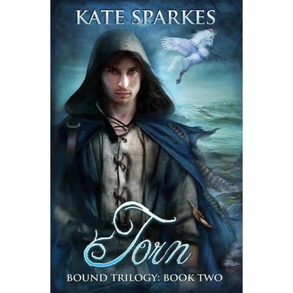 Torn Paperback