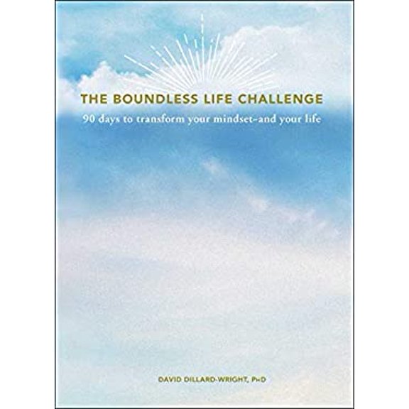 Pre-Owned The Boundless Life Challenge: 90 Days to Transform Your Mindset--And Your Life (Hardcover) 1507208693 9781507208694