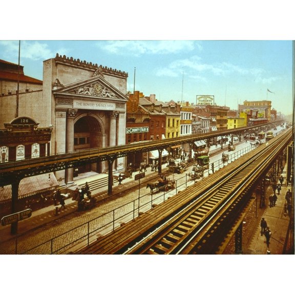 The Bowery History (36 x 24)