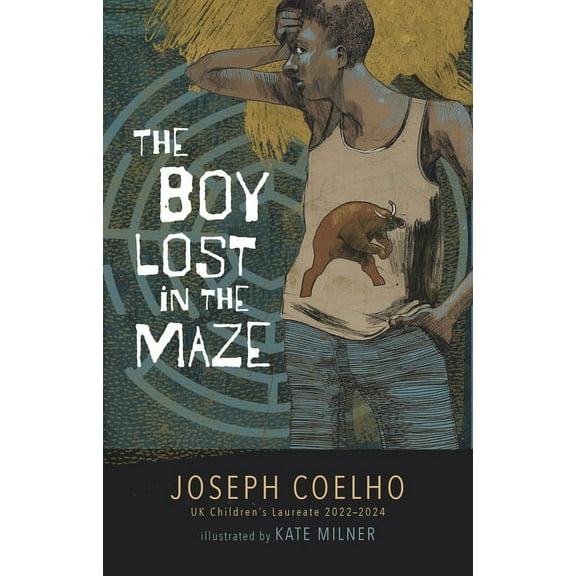 The Boy Lost in the Maze (Hardcover)
