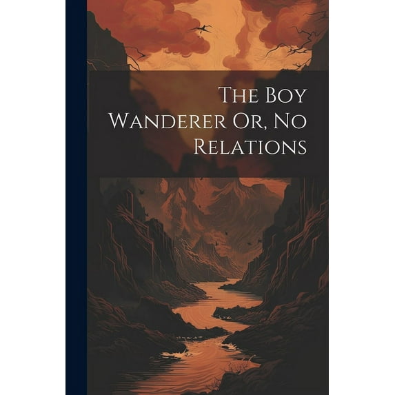 The Boy Wanderer Or, No Relations (Paperback)
