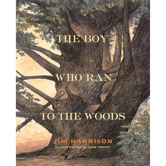 Pre-Owned The Boy Who Ran to the Woods (Hardcover) 0871138220 9780871138224